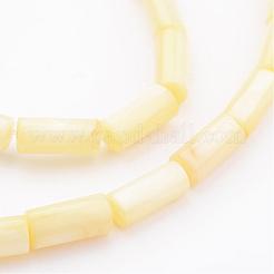 Conchiglia naturale fili di perle&nbsp;BSHE-P012-M