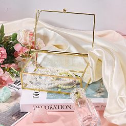 Vitrines à bijoux en verre transparent avec cadre en métal&nbsp;AJEW-WH0410-465B
