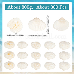 300 шт. натуральные бусины из ракушек&nbsp;SSHEL-SP0001-03