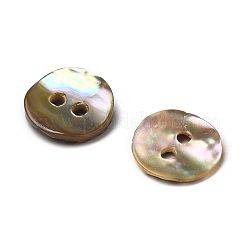 Раковина морского морского ушка / раковина пауа BSHE-I011-04D