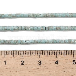Окрашенные синтетические бирюзовые бусы нити&nbsp;G-P594-01B-05