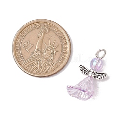 6шт прозрачные акриловые подвески PALLOY-JF03287