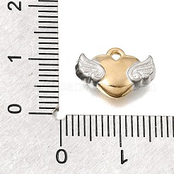 Pendentifs en acier inoxydable 304&nbsp;STAS-D391-06B-GP