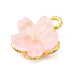 Сплав стекла амулеты&nbsp;FIND-C079-05G