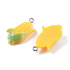 Подвески из непрозрачной смолы&nbsp;LS-RESI-S013-02C