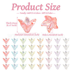 160шт 8 цвета прозрачные акриловые колпачки для бусин OACR-TA0001-16