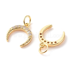 Латунные микропаве прозрачные подвески с фианитом&nbsp;ZIRC-P094-24G-RS