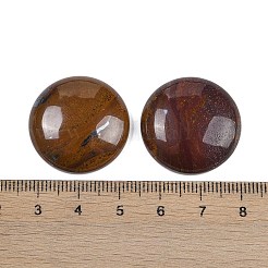 Natürliche Tigereisen-Cabochons&nbsp;G-H1596-FR-25mm-04