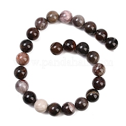 Природные окаменелое дерево бисер пряди&nbsp;G-L648-A03-16mm-02