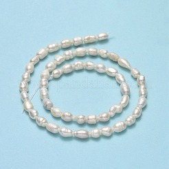 天然養殖淡水パールビーズ連売り  ライス  リネン  6.5~8x4~5mm  穴：0.7mm  約54個/連  13.39''（34センチメートル）&nbsp;PEAR-J006-14A-01
