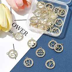 24 шт. 12 стиля подвески из цинкового сплава со стразами FIND-FS0004-40