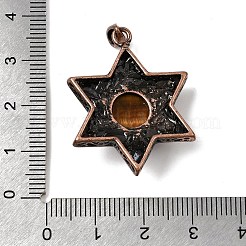 Подвески из натурального тигрового глаза «Звезда Давида»&nbsp;G-A297-06R-21