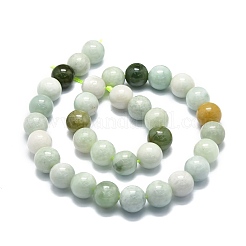 Brins de perles de jade myanmar naturel&nbsp;G-E576-08B