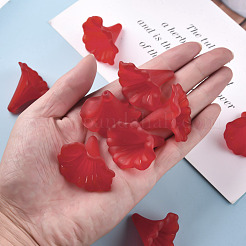 Прозрачные акриловые бусины&nbsp;X-BSF796-C12