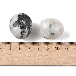 Природные лабрадорита&nbsp;G-G348-01B-36