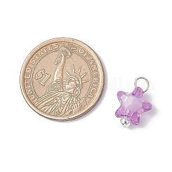 Прозрачные акриловые подвески&nbsp;PALLOY-JF03839-01