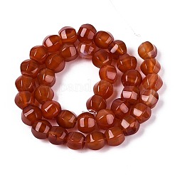 Окрашенные естественный агат бисер пряди&nbsp;G-T144-50A-04