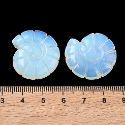 Украшения для демонстрации раковин из опалита&nbsp;DJEW-D303-01D