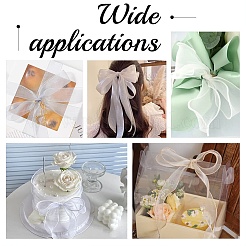 4 рулон 4-х цветной полиэстеровой шифоновой ленты DIY-CP0010-73