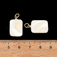 Natürliche Trochidenmuschel-/Trochusmuschel-Anhänger&nbsp;PALLOY-JF05925