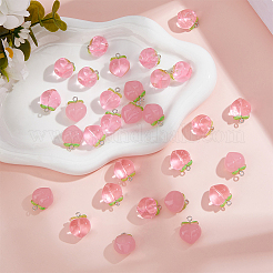 30pcs 3 Arten transparente Acrylanhänger&nbsp;TACR-FH0001-19