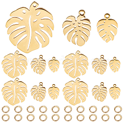 CREATCABIN 12Pcs 3 Styles 201 & 304 Stainless Steel Pendants, with 20Pcs 304 Stainless Steel Open Jump Rings, Monstera Leaf, Golden, 4.5~24x4.5~21x0.8~1mm, Hole: 1~1.4mm