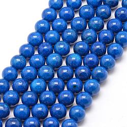 Fossil Beads, Dyed, Round, Blue, 6mm, Hole: 0.8mm, about 66pcs/strand, 16 inch