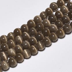Chapelets de perles d'œil de chat, ronde, brun coco, 8mm, Trou: 1.2mm, Environ 50 pcs/chapelet, 15.5 pouce