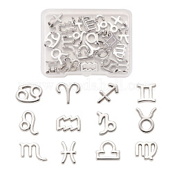 Fashewelry 24 pièces 2 ensembles d'accessoires de pendentif de bijoux en alliage de zinc, série des douze constellations, platine, 5/8 pouce (15 mm), Trou: 2.2mm, 12 constellations, 1 pc / constellation, 12 pièces / kit