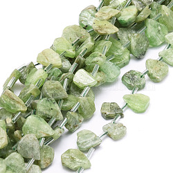 Естественный зеленый кварцевые нити бисера, слеза, 12~20x5~15x3~7 мм, отверстие : 0.8 мм, около 24 шт / нитка, 15.04'' (38.2 см)
