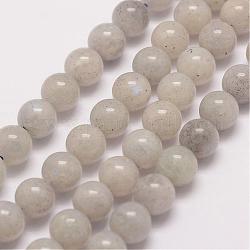 Natural Labradorite Bead Strands, Round, 8mm, Hole: 1mm, about 47pcs/strand, 15.5 inch