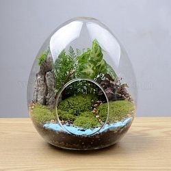 Vase en verre en forme d'oeuf, bouteille en verre micro-paysage succulente hydroponique, décoration de la maison en mousse, clair, 120x150mm