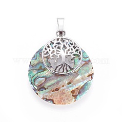 Abalone Shell/Paua Shell Pendants, with Platinum Tone Brass Findings, Flat Round with Tree of Life, 33.5x28~28.5x6.5mm, Hole: 5x7mm