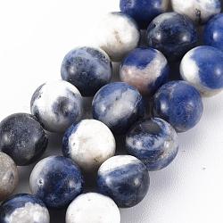 Chapelets de perles en sodalite naturelle, ronde, 8mm, Trou: 1mm, Environ 50 pcs/chapelet, 15.7 pouce
