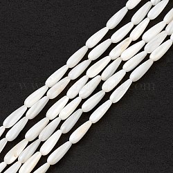 Natural Freshwater Shell Beads Strands, Teardrop, Seashell Color, 15x5mm, Hole: 0.8mm, about 26pcs/strand, 15.16''(38.5cm)