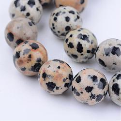 Chapelets de perles en jaspe dalmatien naturelle, ronde, 6~6.5mm, Trou: 1mm, Environ 58~61 pcs/chapelet, 15.5 pouce