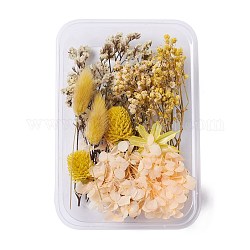Getrocknete Blumen, zubehör zur kerzenseifenherstellung selber machen, mit Kunststoff-Rechteckbox, golden, golden, 2.5~14x1.5~5.3 cm