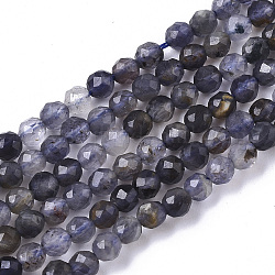 Hilos de perlas naturales de iolita / cordierita / dicroita, facetados, redondo, 3mm, agujero: 0.6 mm, aproximamente 120 pcs / cadena, 15.35 pulgada (39 cm)