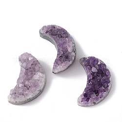 Natural Amethyst Cluster, Druzy Amethyst Specimen, for Home Display Decoration, Moon, 34~35x23~26x10~20mm