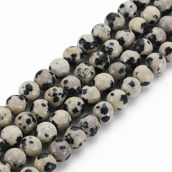 Dalmatien naturel Jasper brins de perles, ronde, 4~5mm, Trou: 1mm, Environ 83~84 pcs/chapelet, 14.96 pouce ~ 15.16 pouces (38~38.5 cm)