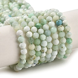 Natürlichen grünen Opal Perlen Stränge, facettiert, Runde, 3 mm, Bohrung: 0.6 mm, ca. 122~124 Stk. / Strang, 15.35'' (39~39.5 cm)