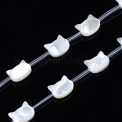 Shell normal de perles blanches de brins, chat, 8x10x3~4mm, Trou: 0.5~0.6mm, Environ 20 pcs/chapelet, 16.30 pouce ~ 17.52 pouces (41.4 cm ~ 44.5 cm)