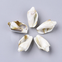 Perles acryliques, style de pierres fines imitation, cône coquille, floral blanc, 30x15x14mm, Trou: 1.6mm, environ205 pcs / 500 g.