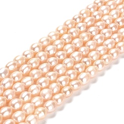 Fili di perle di perle d'acqua dolce coltivate naturali, riso, grado 2 un, peachpuff, 6~7x5~6mm, Foro: 0.5 mm, circa 54pcs/filo, 14.17 pollice (36 cm)