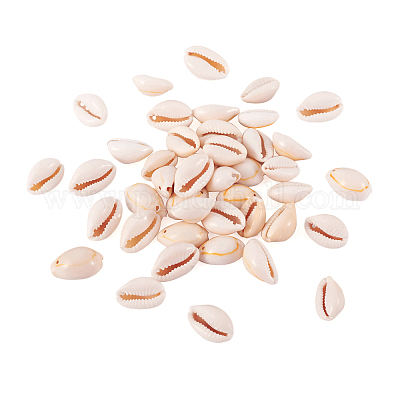 Бусины из натуральных раковин каури BSHE-TA0001-01-1