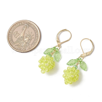 Серьги из акрилового стекла с застежкой-молнией EJEW-MZ00443-1