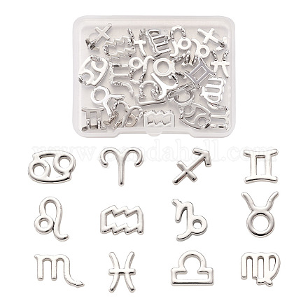 Fashewelry 24 pièces 2 ensembles d'accessoires de pendentif de bijoux en alliage de zinc FIND-FW0001-08P-1