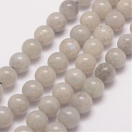 Chapelets de perles en labradorite naturelle G-P259-05-8mm-1