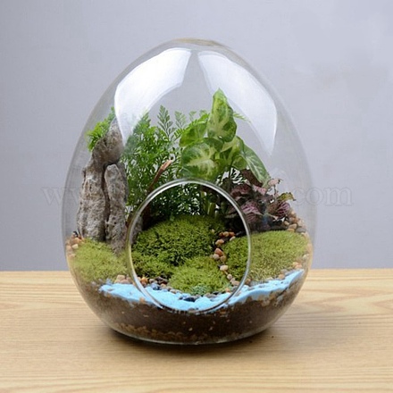 卵型のガラス花瓶  水耕栽培多肉植物マイクロランドスケープガラスボトル  苔の家の装飾  透明  120x150mm PW-WG75554-01-1