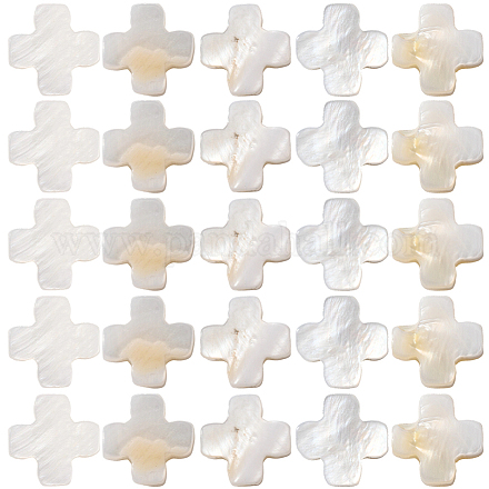 60 шт. натуральные пресноводные бусины из ракушек SSHEL-SC0001-39-1